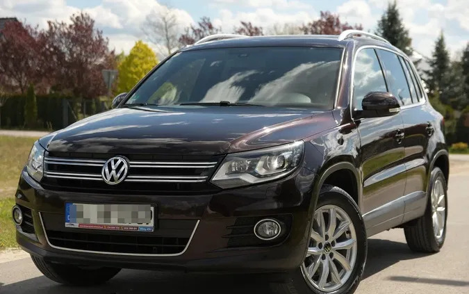 samochody osobowe Volkswagen Tiguan cena 59900 przebieg: 182000, rok produkcji 2013 z Lubomierz